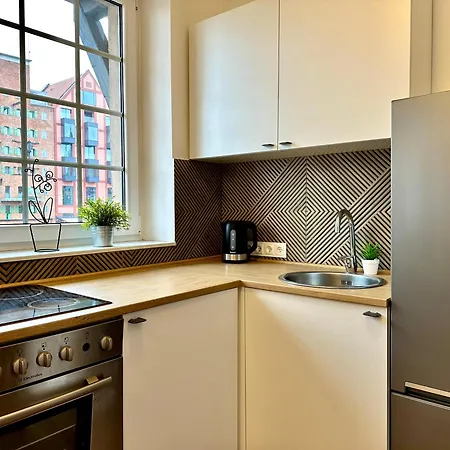 Apartament Z Widokiem Na Motlawe Ii * Gdańsk